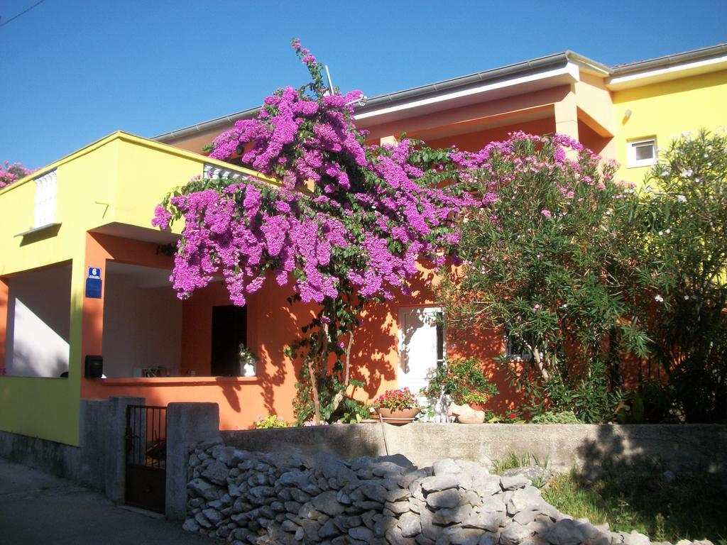 Apartments Mirjana Petrčane Exterior foto