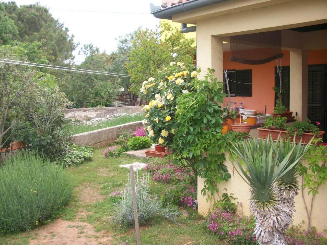 Apartments Mirjana Petrčane Exterior foto