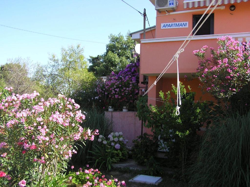 Apartments Mirjana Petrčane Exterior foto